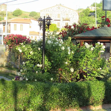 Suinn Cunda Ayvalik